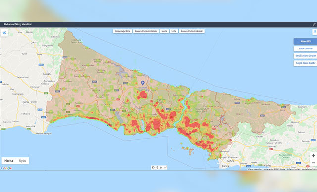 İstanbul'da sivrisinek zirvesi yapıldı,  ''üreme haritası'' çıkarıldı