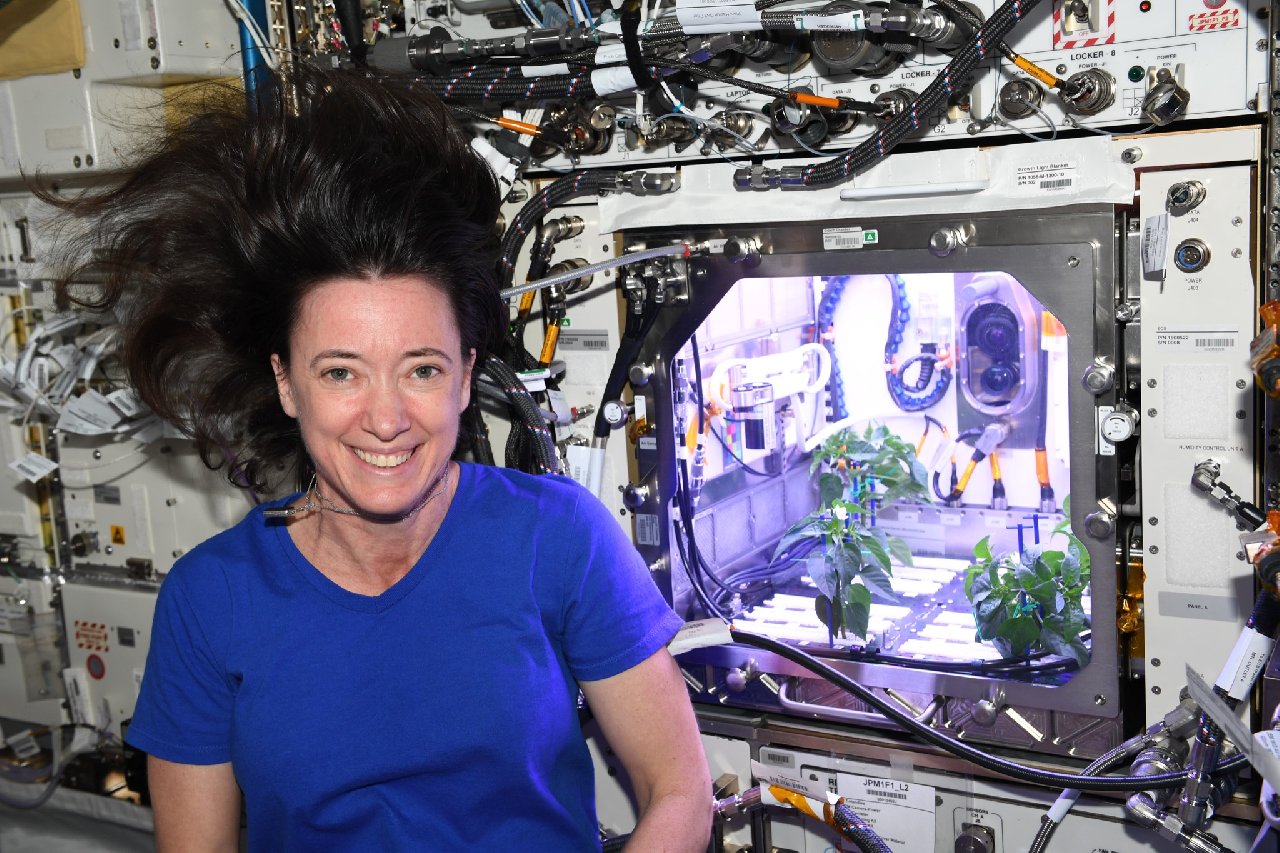 NASA astronotunun uzayda yetiştirdiği biber fideleri çiçek açtı