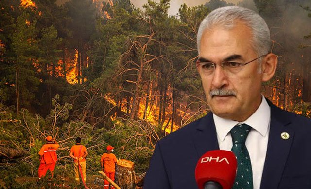 Yanan ormanlar sonbaharda ağaçlandırılmaya başlanacak