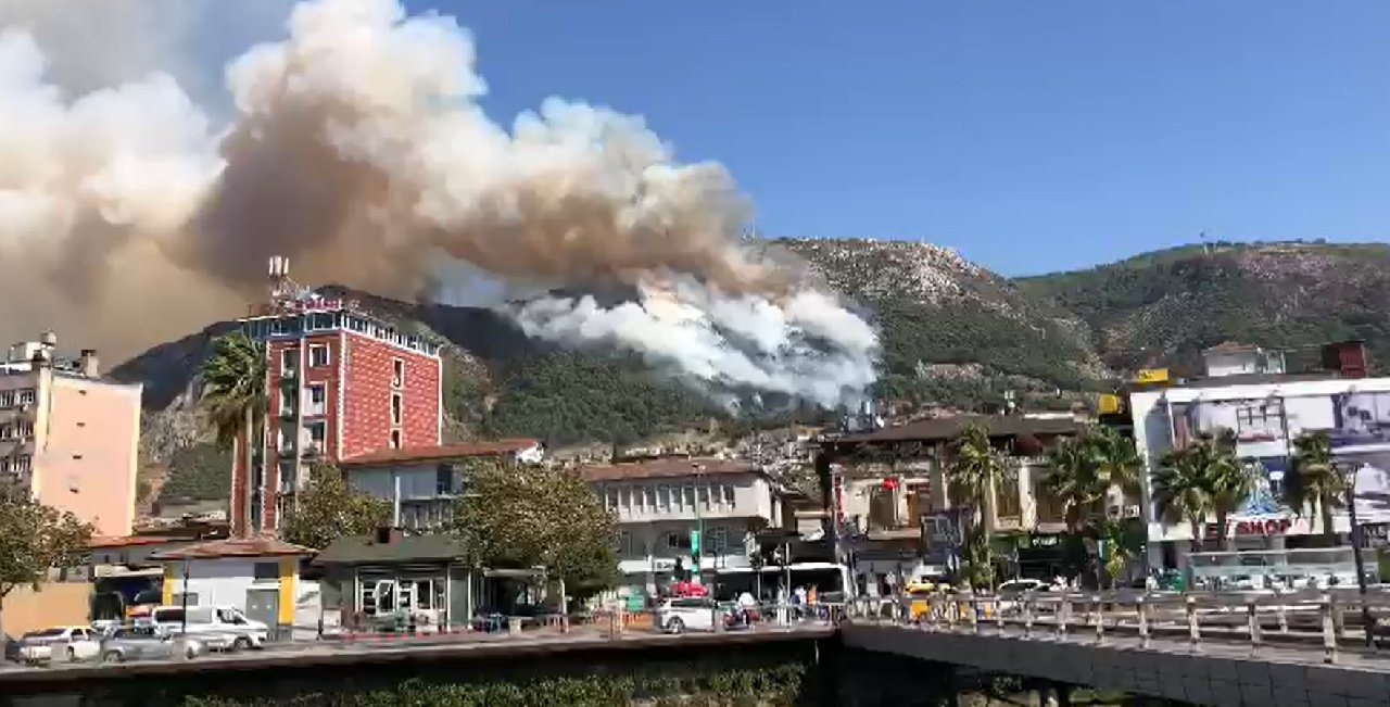 Hatay’da orman yangını