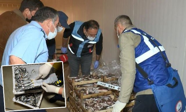 Balık haline boy yasağı baskını: Yaklaşık 8.8 ton balığa el konuldu