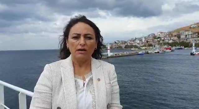 Marmara Denizi'ne dalan CHP'li Şevkin: "Müsilaj deniz dibinde canlıların üzerini kaplamış durumda"