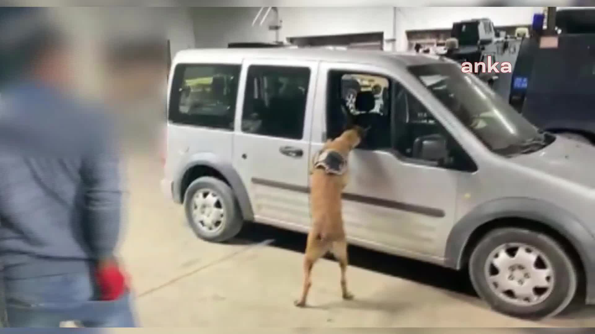 Van'da 217,5 kilo eroin yakalandı