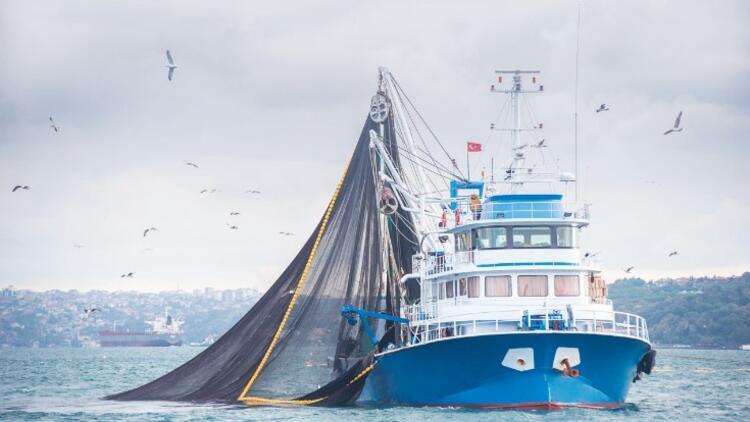 Marmara’da son 40 yılın en kötü balıkçılık dönemi yaşanıyor