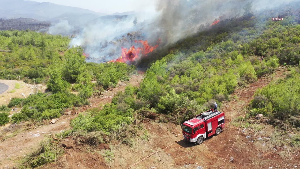 Sayıştay: Orman Genel Müdürlüğü ormanlık alanlarla ilgili yangın eylem planlarını hazırlamamış