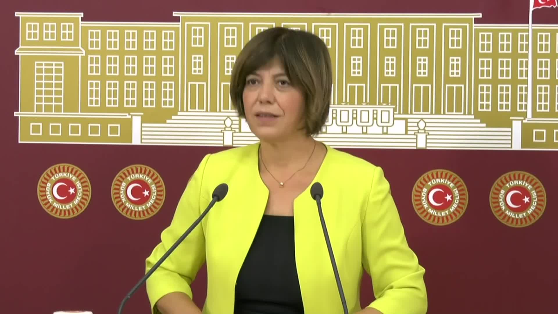 HDP’li Beştaş: Rönesans Holding'in kaçırdığı parayla 100 yataklı 800 yurt yapılırdı