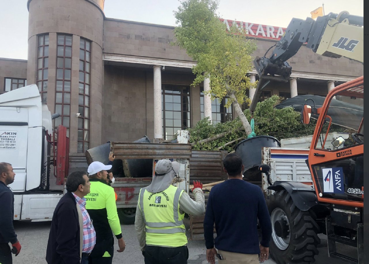 Valilik, 10 Ekim katliamı yıldönümünde, öldürülenleri temsil eden ağaçları Ankara Garı önünden kaldırdı