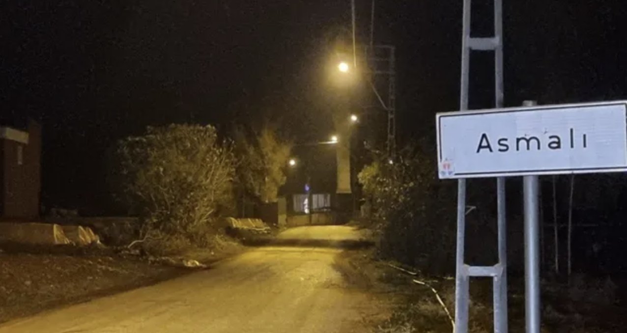 Adana'da iki mahalle "mavi dil" hastalığı nedeniyle karantinada