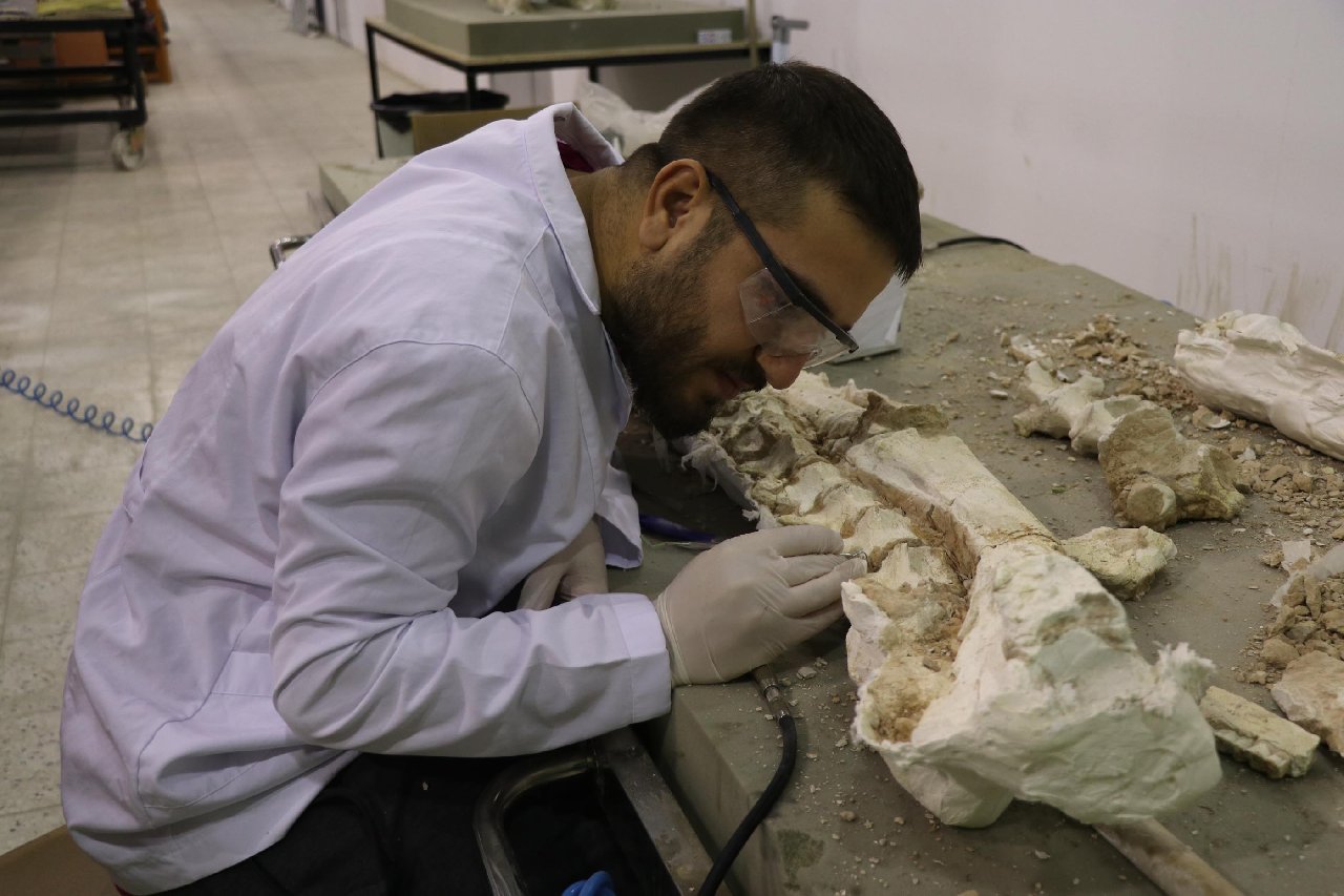 Kayseri’de 3 yıllık kazılarda 7,5 milyon yıllık bine yakın fosil bulundu