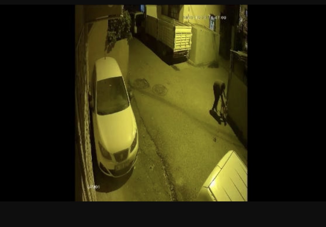 Köpeğe işkence ederken görüntüleri kaydedildi, mahalleli isyan etti: "Uyuştucu kullanıyor, hastaneye imza verip çıkıyor"