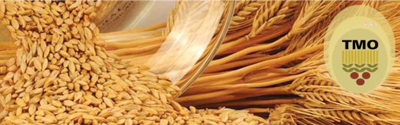 Ekmeklik buğdaya yüzde 23, arpaya yüzde 24 zam