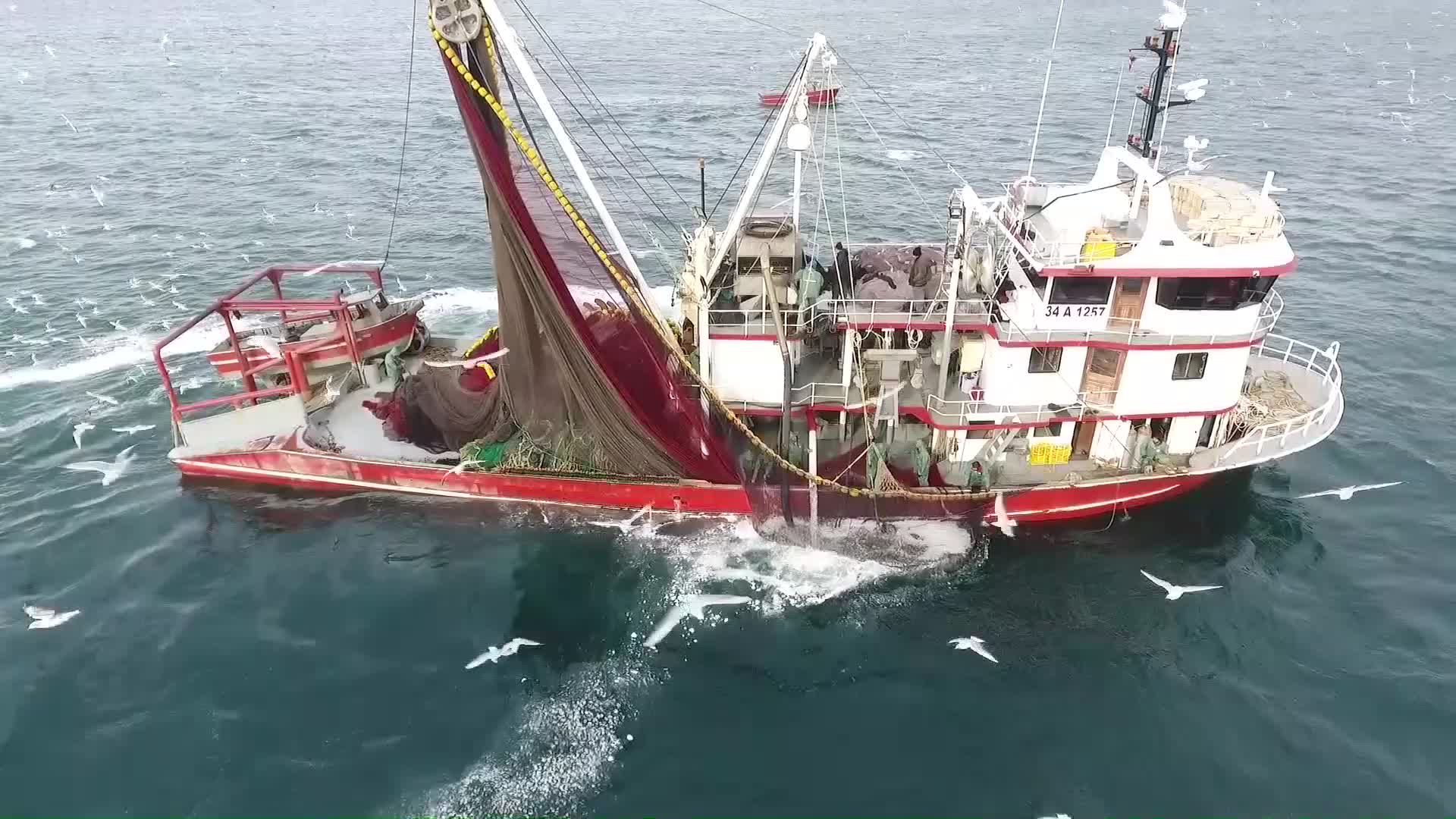 Akaryakıt zammı balık fiyatlarına da yansıdı