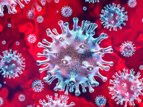 Koronavirüse benzeyen bir virüs tespit edildi: At nalı yarasalarında varmış