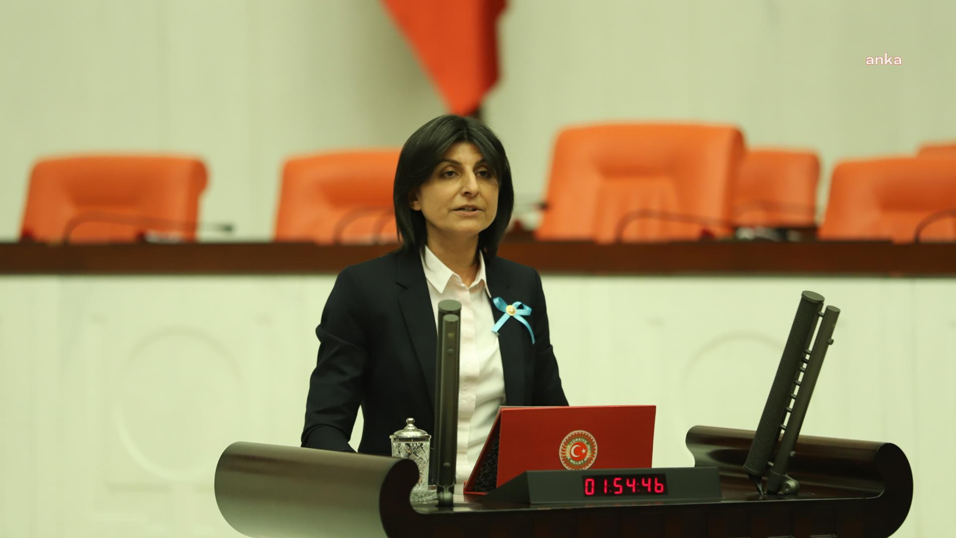 CHP'li Özdemir, Bakan Çavuşoğlu'na birlikte çalışmayı önerdiği kişilerin Cumhurbaşkanınca sistematik olarak reddedilmesini sordu