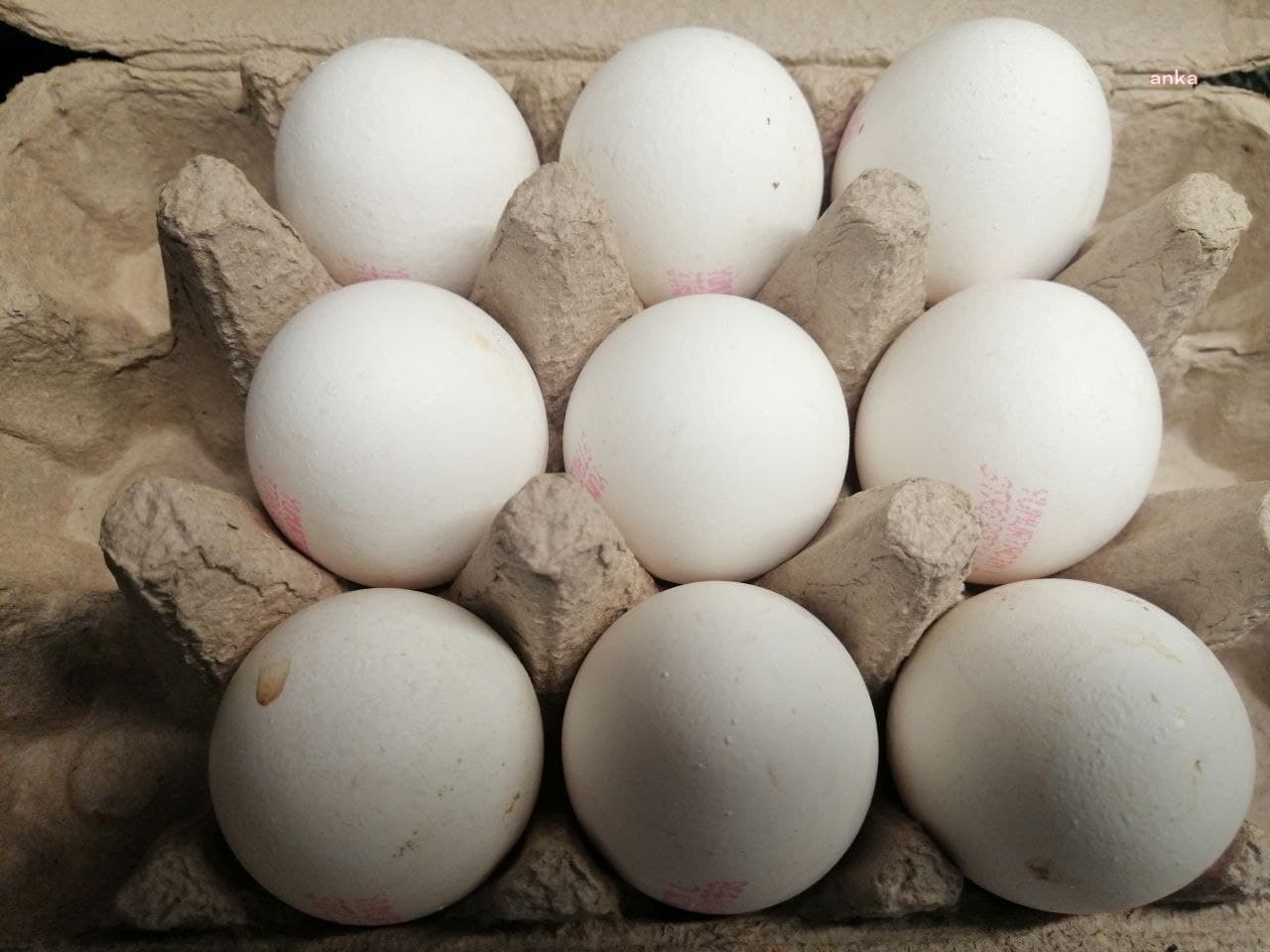 TÜİK: Yumurta üretimi yüzde 1.5 azaldı