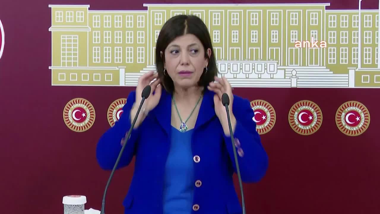 HDP Grup Başkanvekili Beştaş'tan Gara açıklaması: Siyasi sorumluluğu almayan bir iktidar var