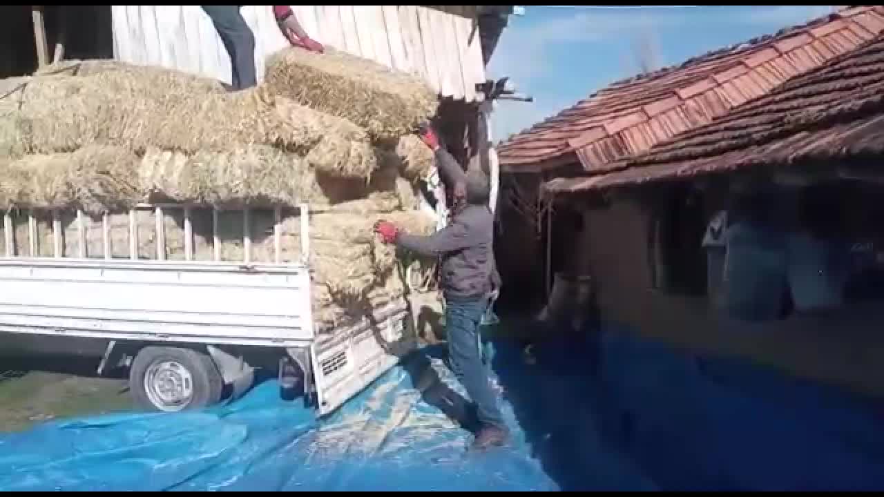 Tokatlı çiftçiden Erdoğan'a: Köylüyle dalga mı geçiyorsunuz siz?