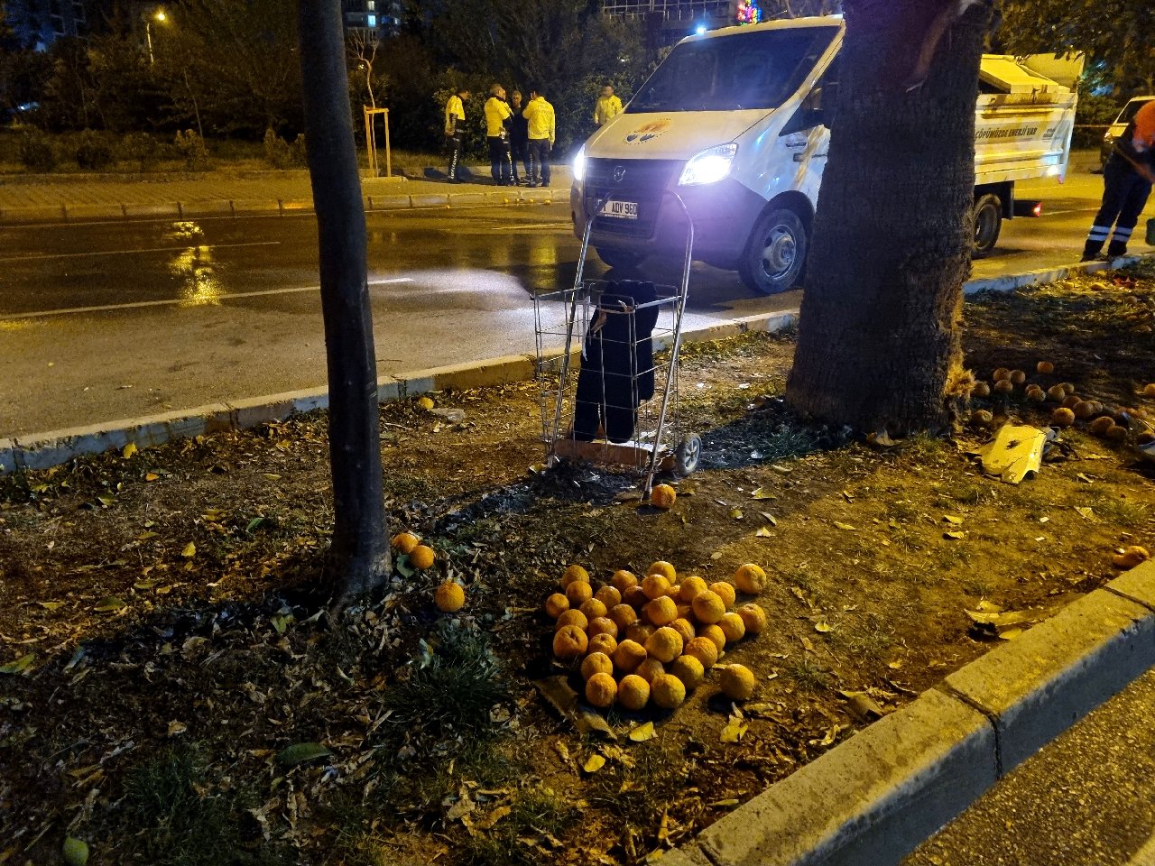 Reçel yapmak için turunç toplayan 3 kadın, otomobil çarpması sonucu hayatını kaybetti