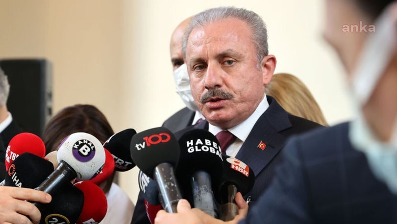 TBMM Başkanı: "CHP'li Enis Berberoğlu ile HDP'li Gergerlioğlu'nun durumu aynı değil"