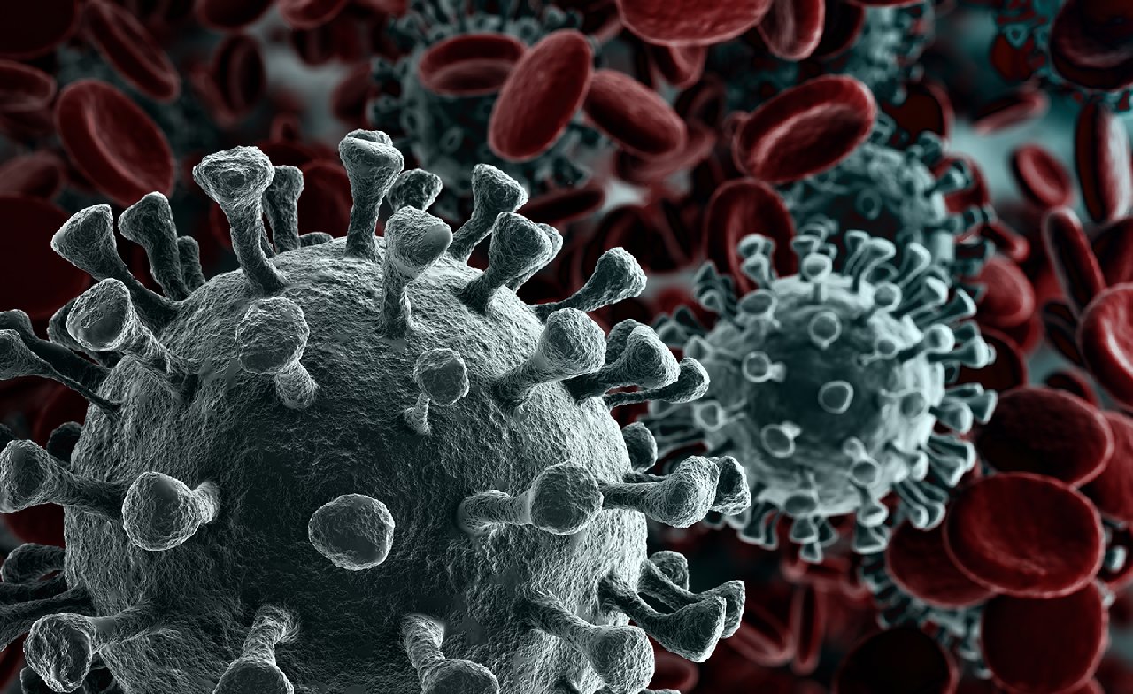 Koronavirüs Güncesi 5: Türkiye'nin virüsle savaşı