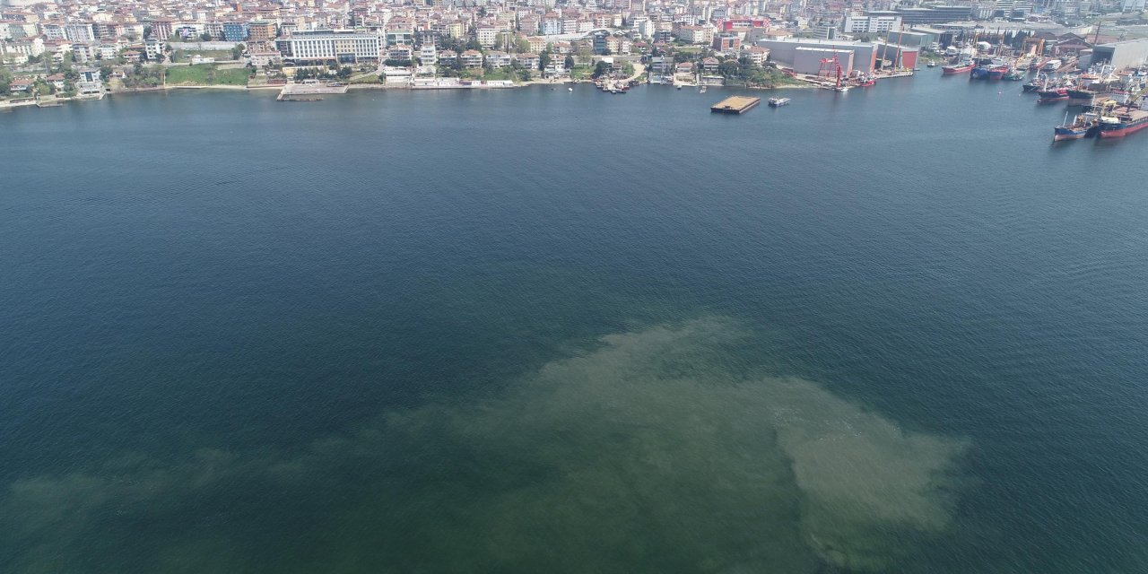 Marmara'da korkutan görüntü: Müsilaj geri mi döndü?