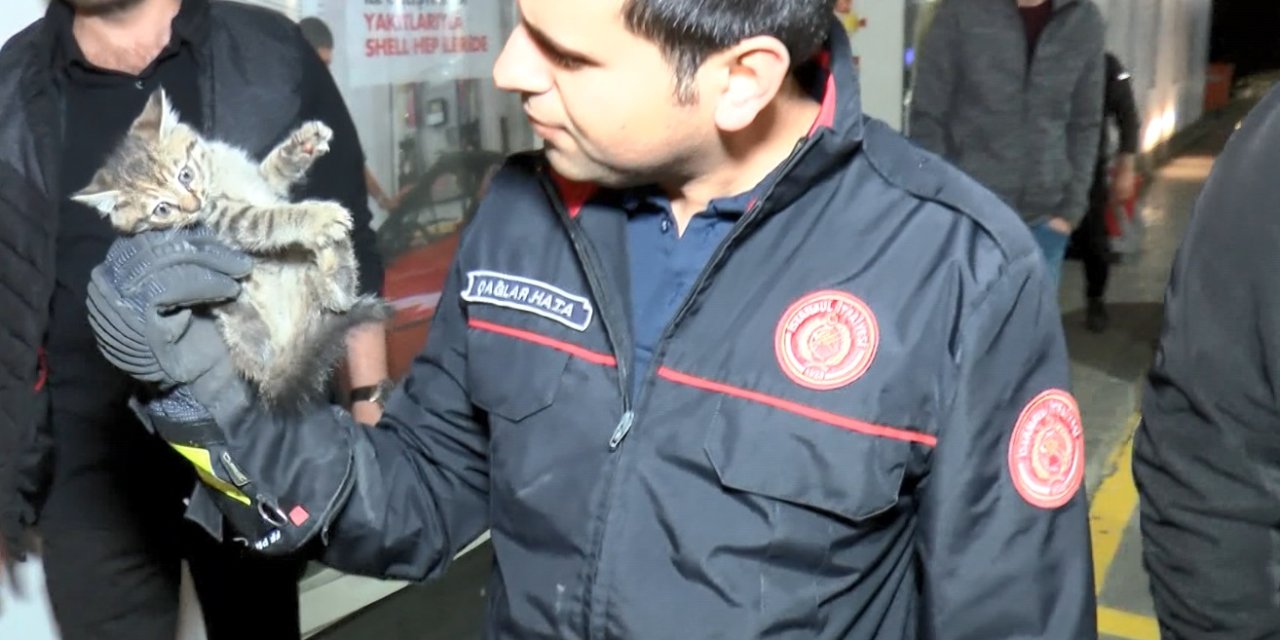 Araba motorunda kıta değiştiren kediyi itfaiye kurtardı