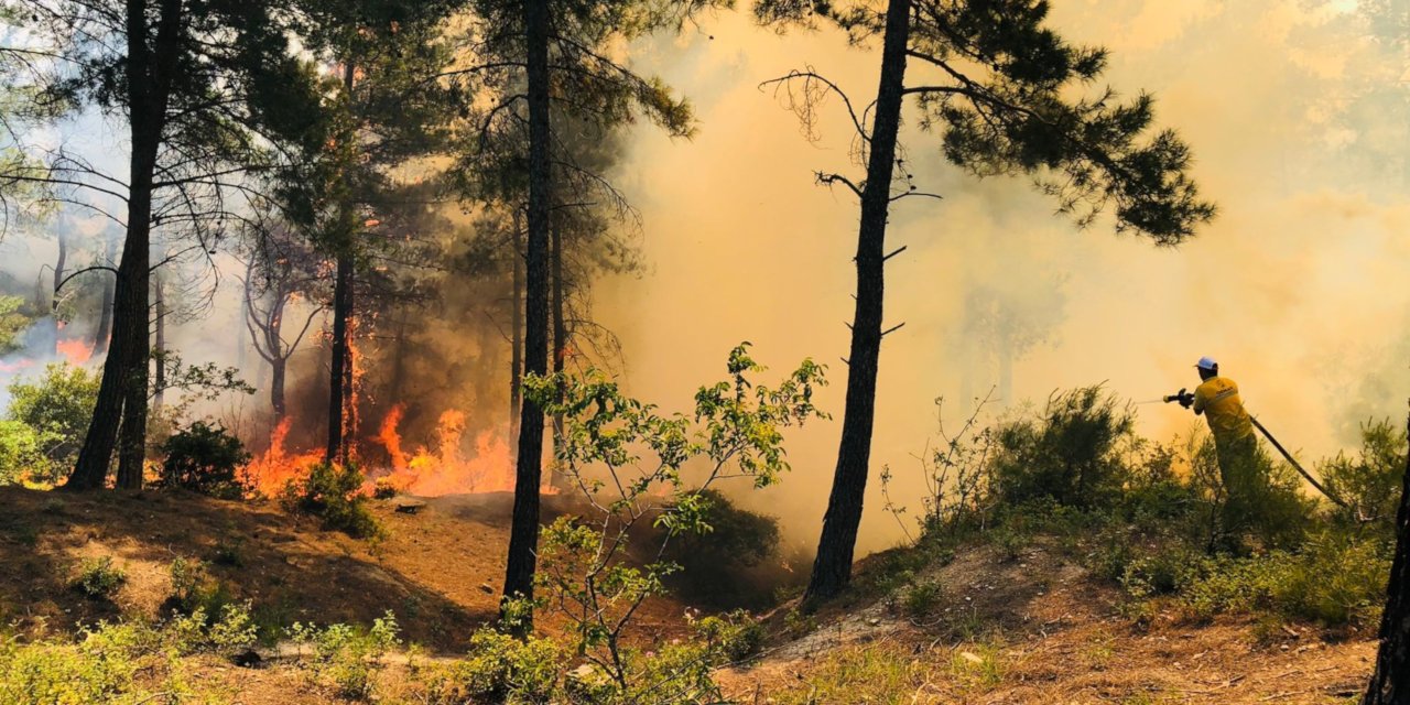 Hatay’daki orman yangınına bir tutuklama