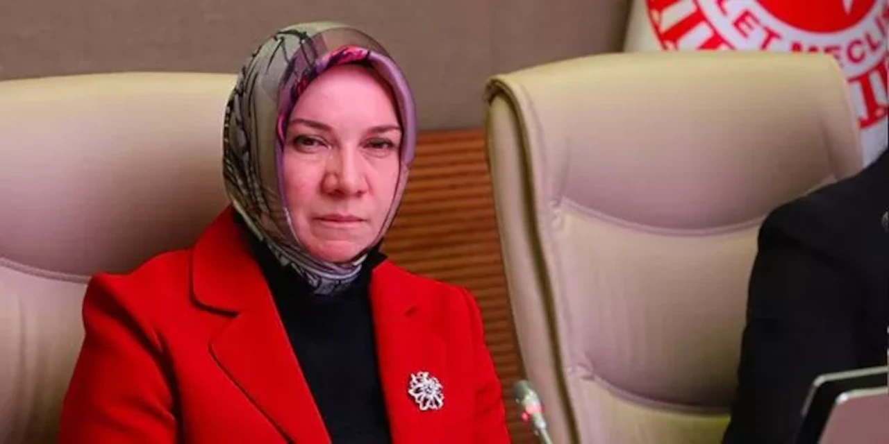 AKP'li Nergis emperyalizmin oyununu bozma formülünü açıkladı: Daha çok çocuk