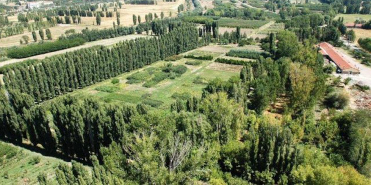 Yargı, Atatürk Orman Çiftliği'ne bina planını durdurdu