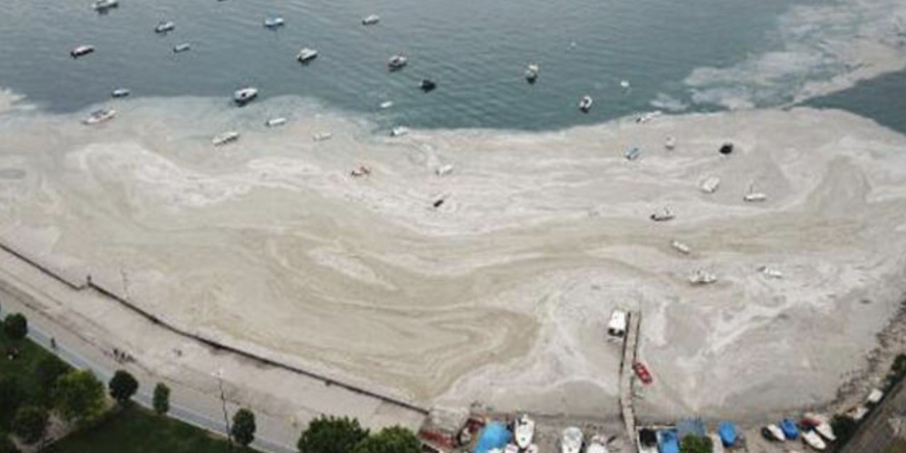 Müsilaj etkisi: Marmara’da 15 plajın mavi bayrağı iptal edildi