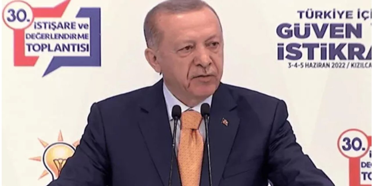 Erdoğan'dan 'sürtük' açıklaması: Hak ettikleri teşhisi koyduk