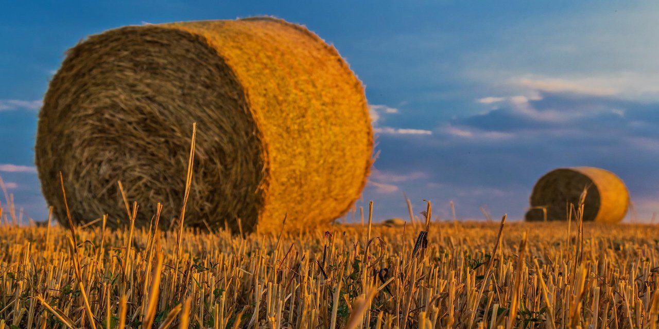 Rus yetkiliden iddia: Ukrayna'dan Türkiye'ye gönderilen tahıl için ödeme alındı