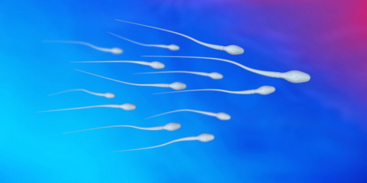 Su içerken sperm kaliteniz bozuluyor olabilir