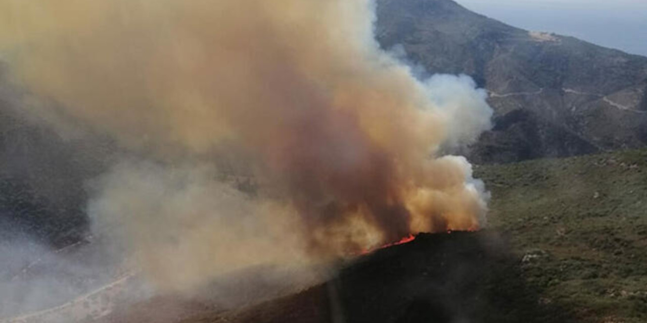 İzmir'de iki yerde orman yangını: Söndürme çalışmaları devam ediyor