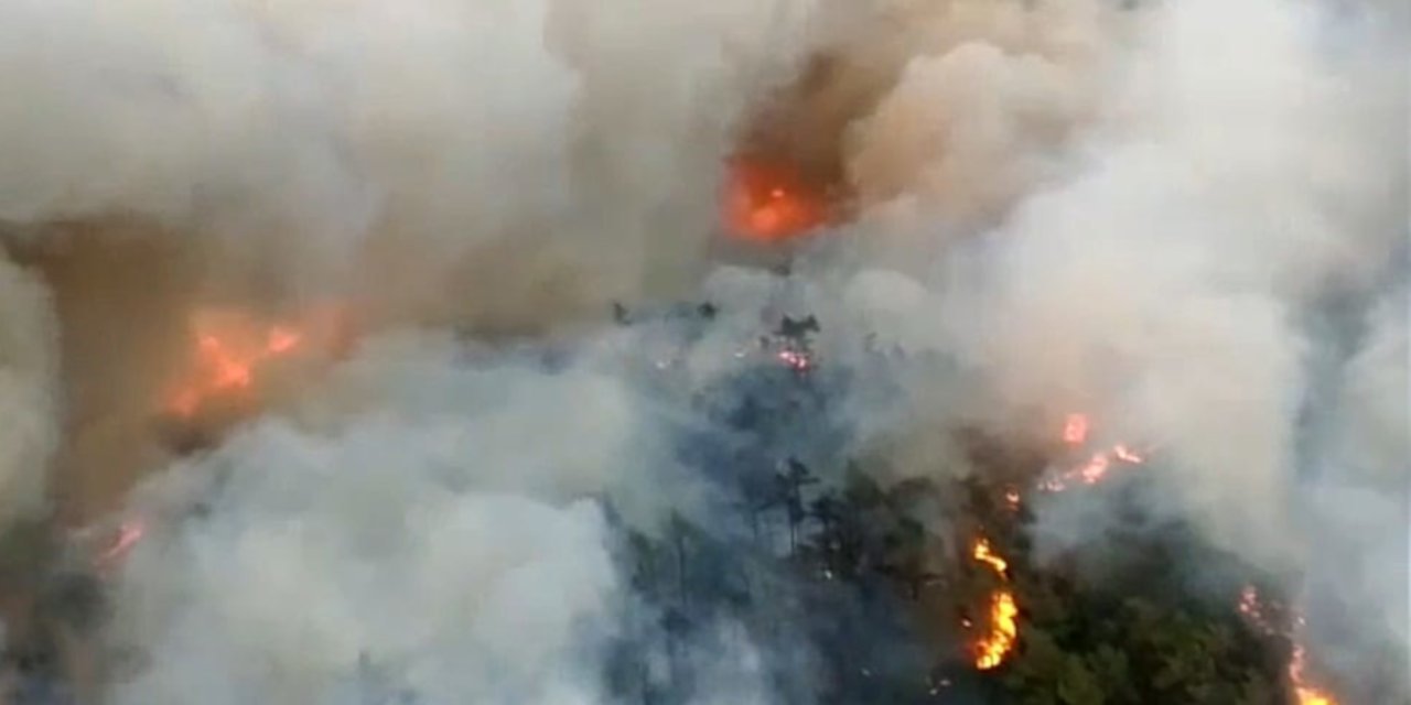 Marmaris Amazon Koyu'nda çıkan orman yangını durdurulamadı