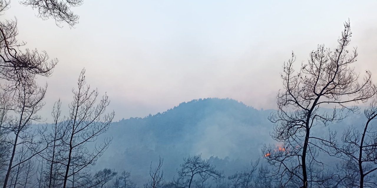 Marmaris'te orman yangını: Koruma altındaki Bördübet'in yüzde 20'si kül oldu