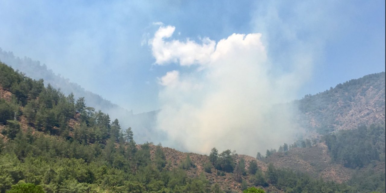 Marmaris'ten sonra Köyceğiz'de de orman yangını çıktı