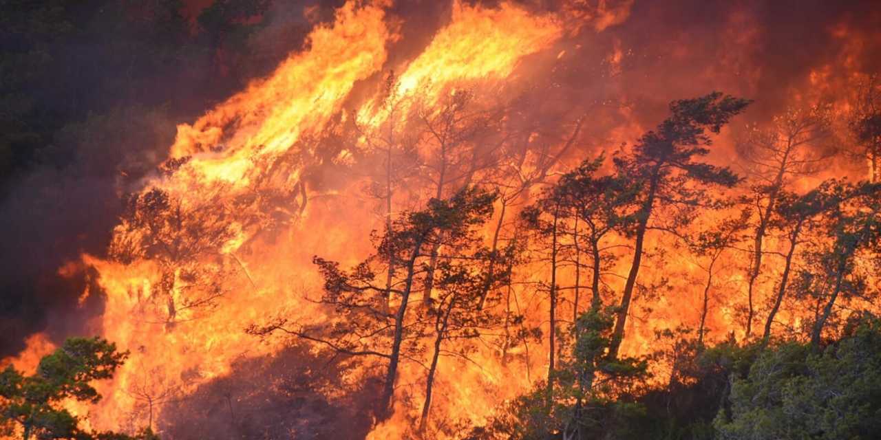 Marmaris'te yaklaşık 400 hektarlık orman kül oldu: Alevler Okluk Koyu'na ilerliyor
