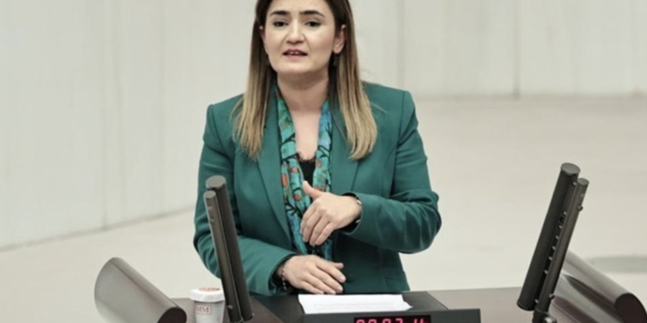 CHP'li Kılıç'tan Oktay ve Soylu'ya 'aktrollerle' ilgili 4 soru
