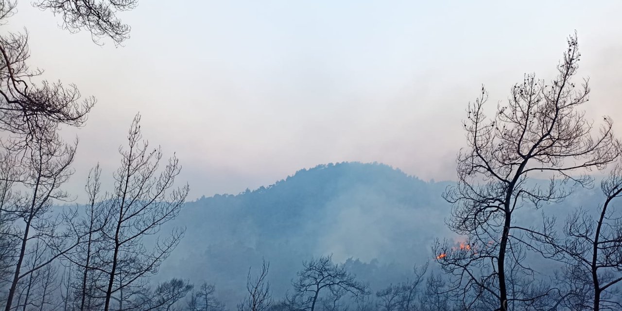 Marmaris'te devam eden yangınla ilgili bir kişi gözaltına alındı