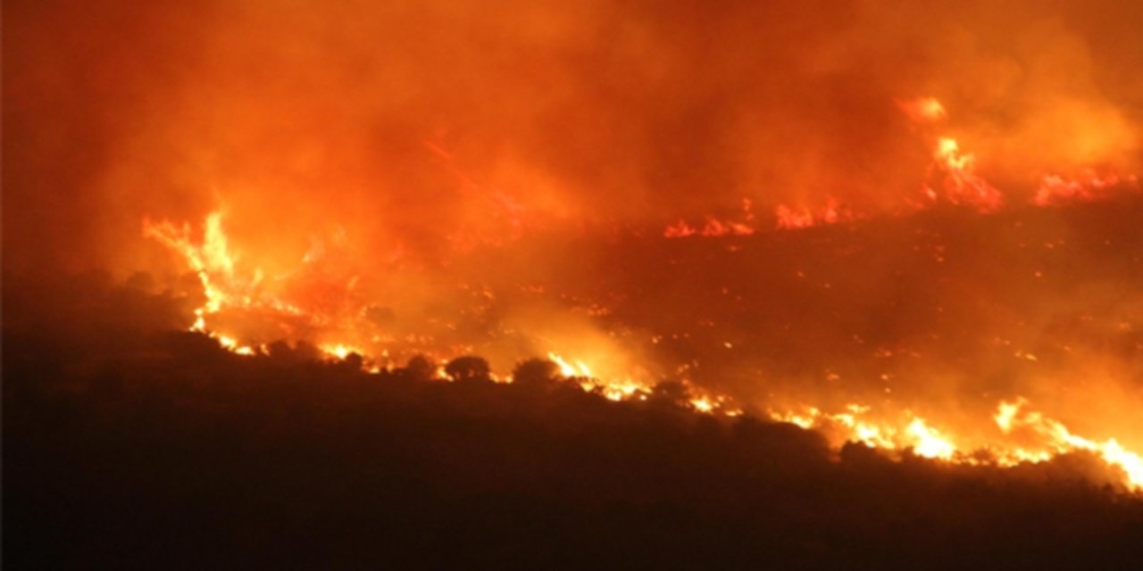 AFAD 6 il için 'orman yangını' uyarısı yaptı