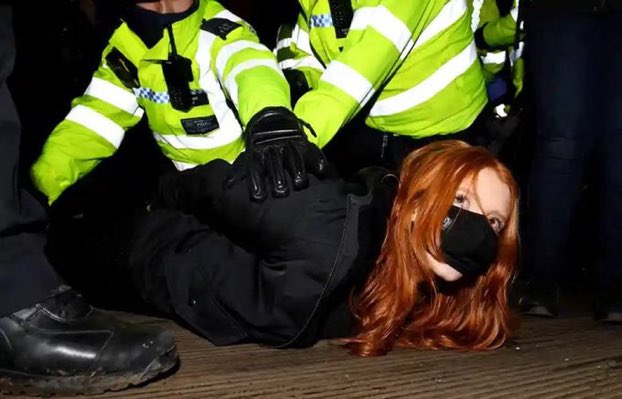 İngiliz polisi, bir meslektaşlarının suçlandığı kadın cinayetini protesto eden kadınlara saldırdı