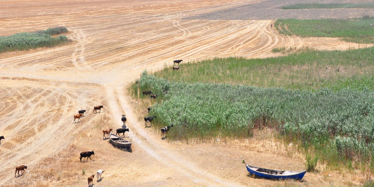 Kuruyan Marmara Gölü üzerinde arazi savaşları başladı