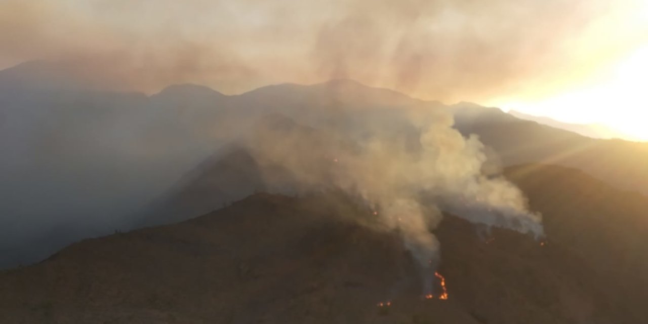 Bakan Kirişci açıkladı: Datça'daki orman yangını kontrol altında
