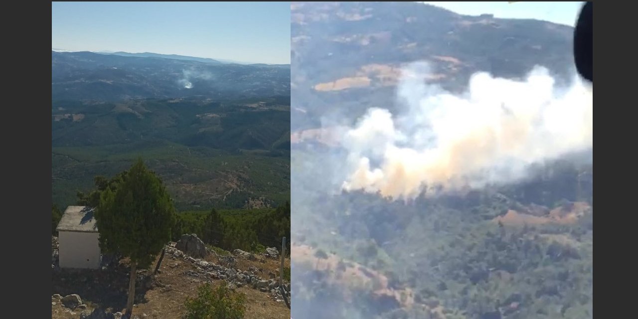 Manisa Akhisar'da orman yangını