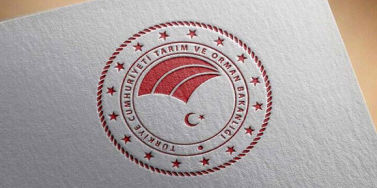 Tarım ve Orman Bakanlığı: Yurtdışında arazi kiralamadık