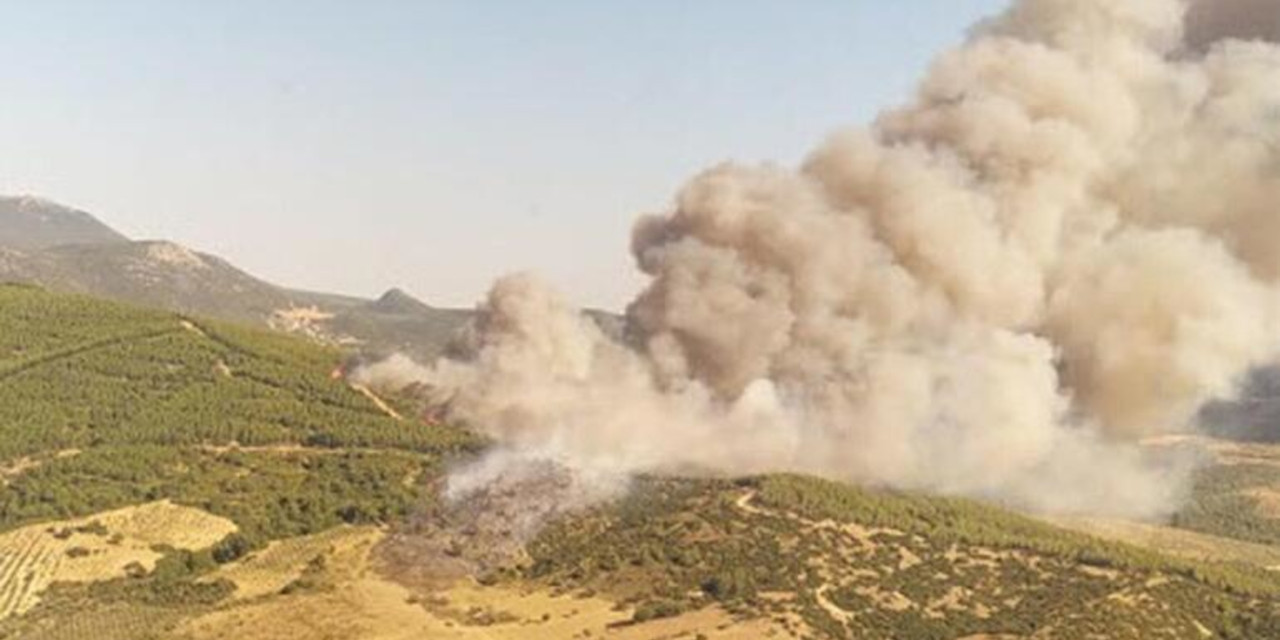 Türkiye'de üç ilde orman yangını çıktı: Manisa, Muğla ve Kütahya yanıyor