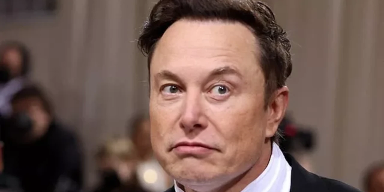 Elon Musk'ın mavi tik skandalı: Şirketlere büyük zarar