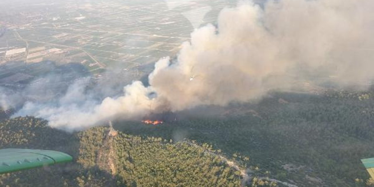 Söke’de orman yangını: En az 50 hektarlık bir alan zarar gördü