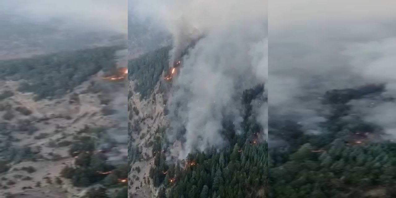 Mersin'de orman yangını ikinci gününde
